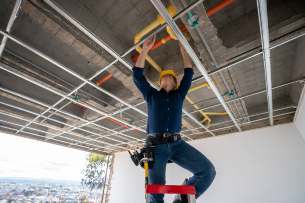 Best Plumbing Services Near Me  in Plymouth, CA